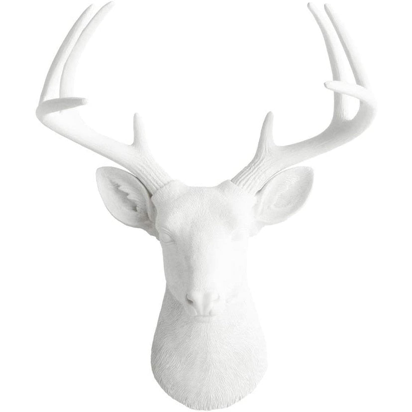 Tête de cerf blanc des charmeurs muraux