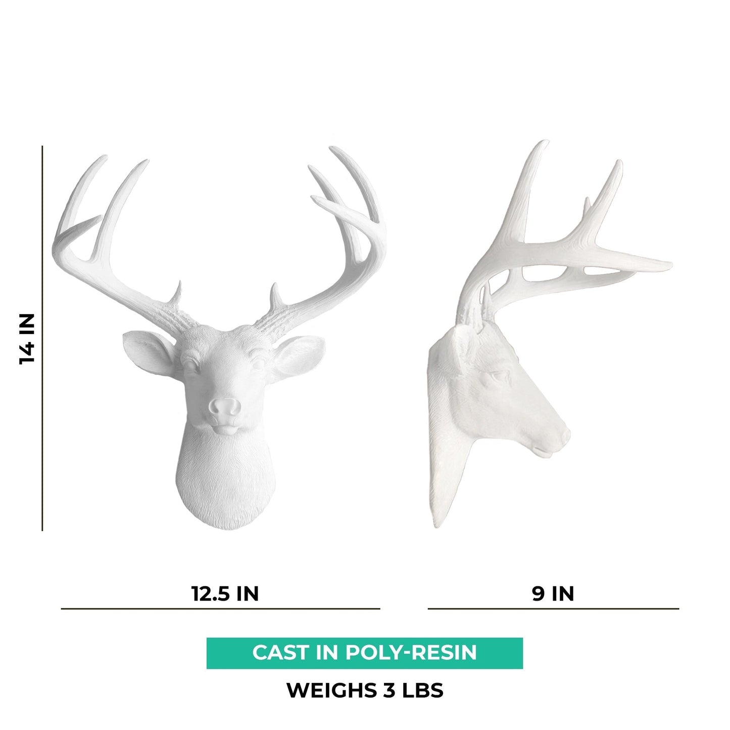 Tête de cerf blanc des charmeurs muraux