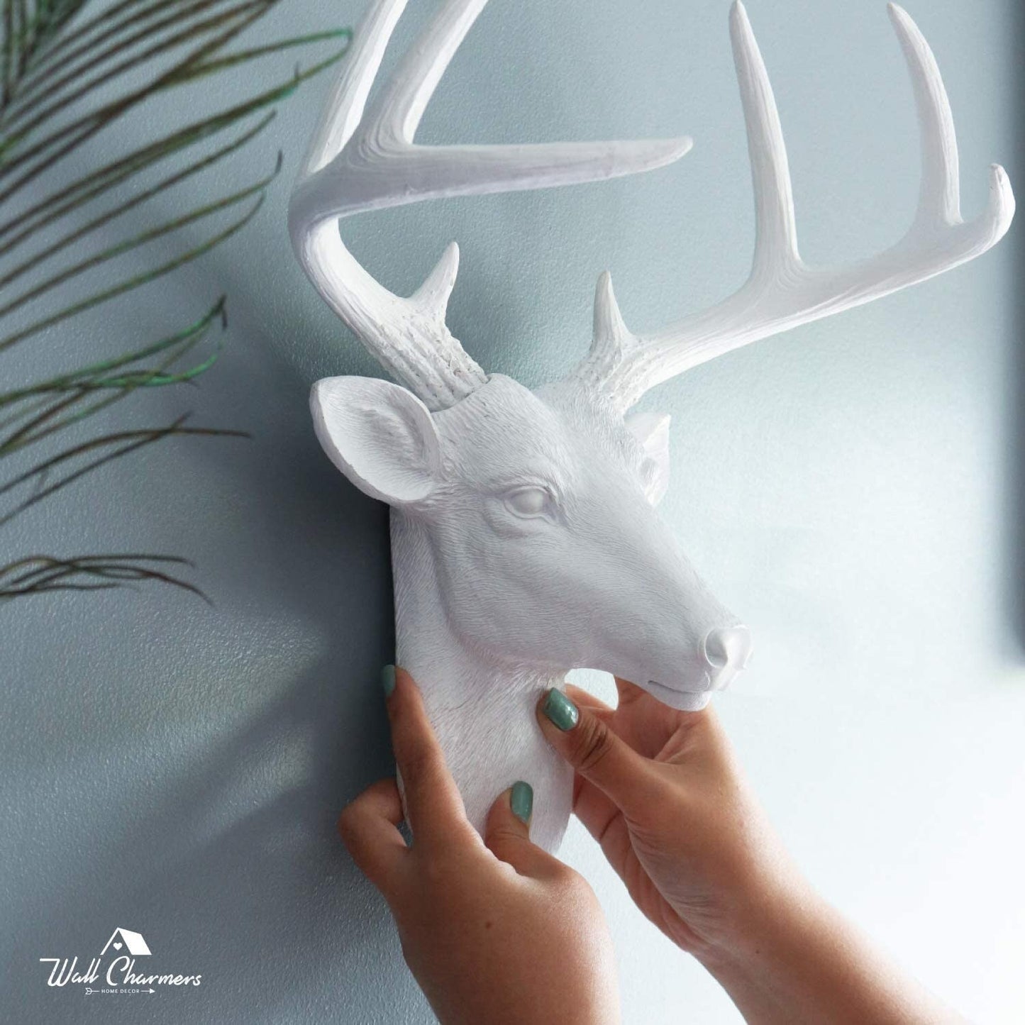 Tête de cerf blanc des charmeurs muraux