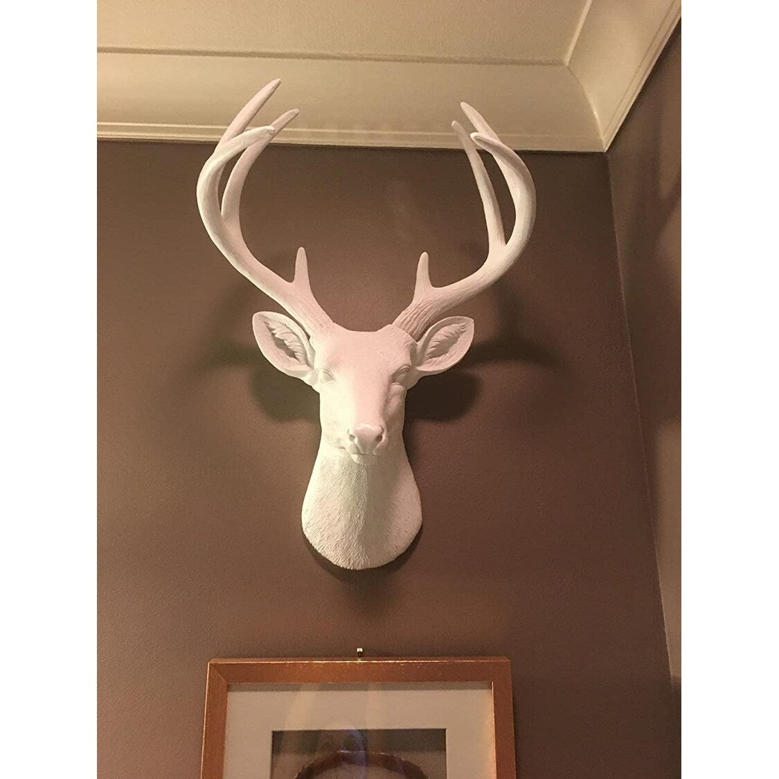 Tête de cerf blanc des charmeurs muraux