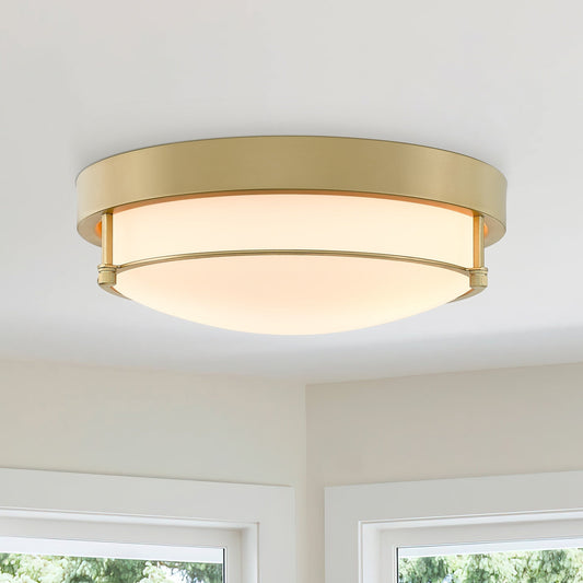 Plafonnier moderne à 2 lumières et 12 pouces