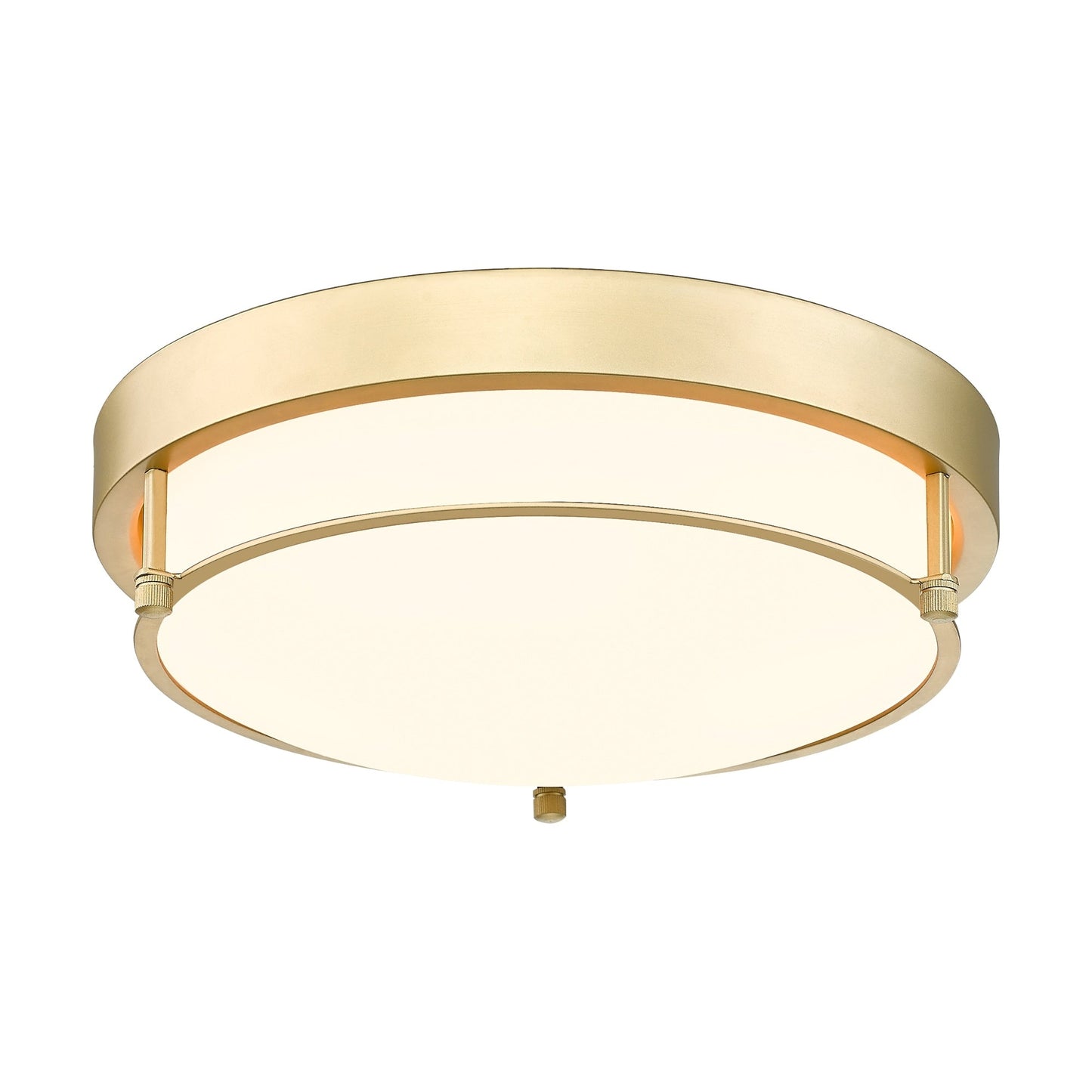 Plafonnier moderne à 2 lumières et 12 pouces
