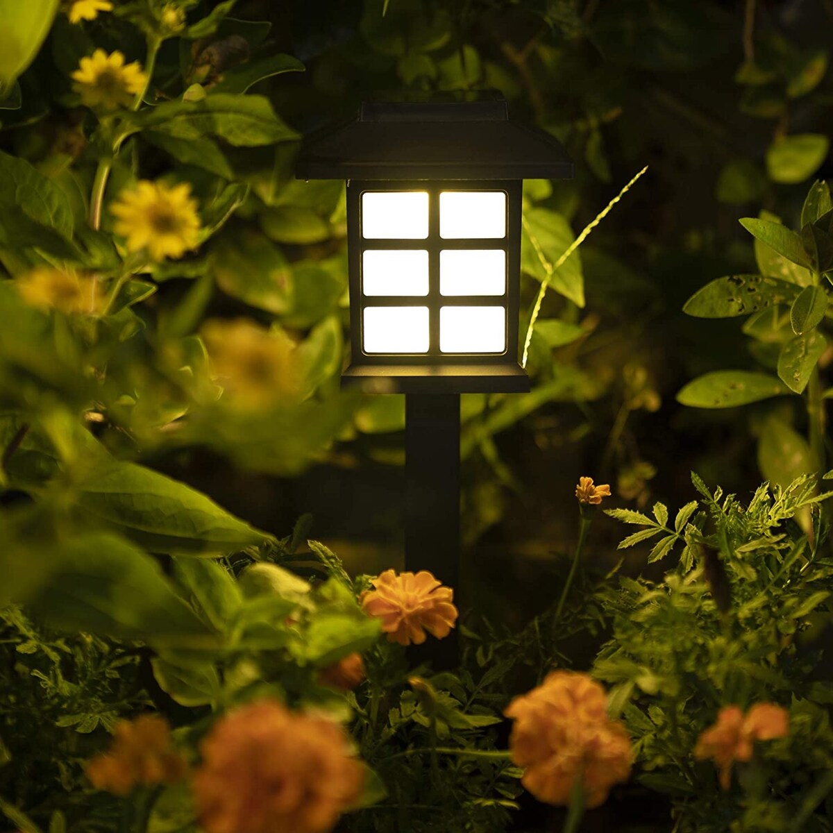 Lot de 12 lampes solaires d'extérieur étanches pour jardin, paysage et terrasse