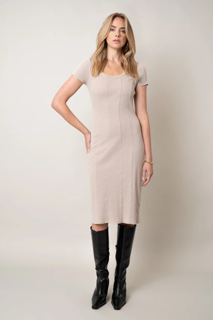 The Seam-Detail Knit Dress