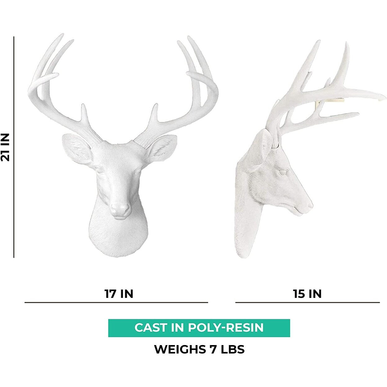 Tête de cerf blanc des charmeurs muraux