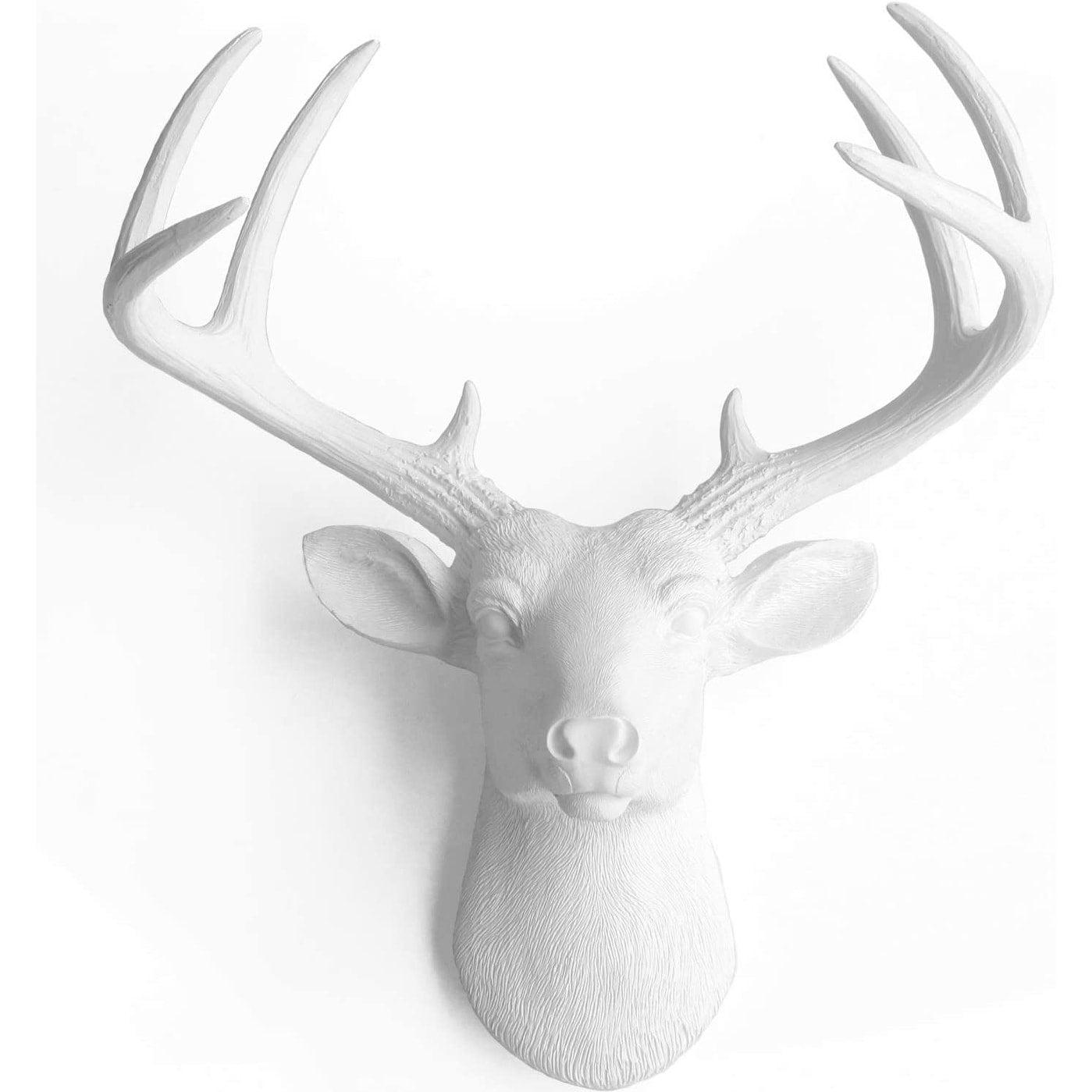 Tête de cerf blanc des charmeurs muraux